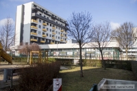 sme clanok, r. stalmach.jpg