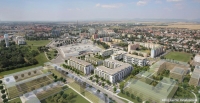 arboria-zelena.jpg