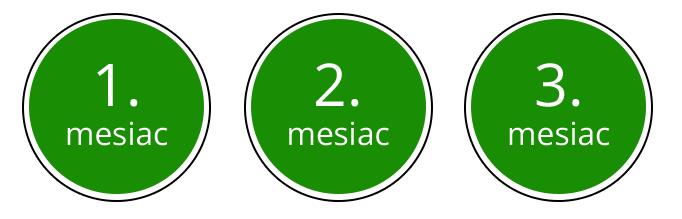 3-mesiace.png